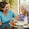 How lucrative is a home care agency?