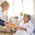 What is care of elderly people called?