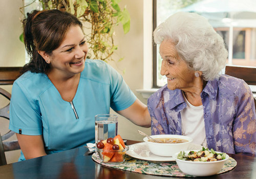 How lucrative is a home care agency?